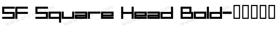 SF Square Head Bold字体转换